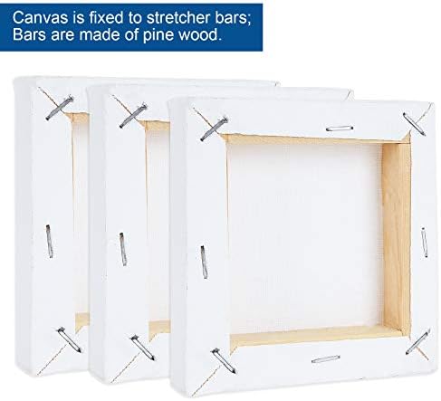 6x6 Inch Mini Canvas Panels Set with Easel Holders