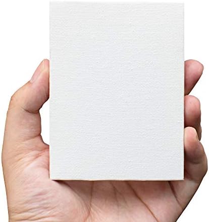 FIXSMITH 3x4 Inch Mini Stretched Canvas Easel Set - 12 Pack