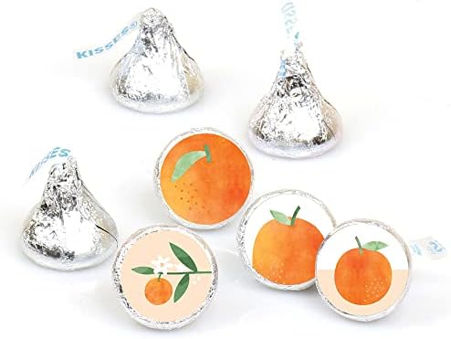 Little Clementine Orange Citrus Candy Sticker Favor Labels - 1 Sheet of 108