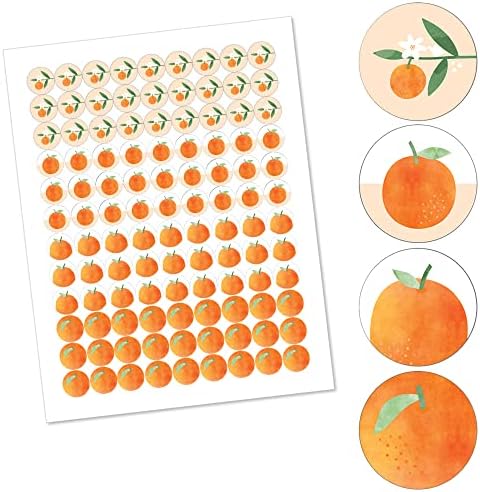 Little Clementine Orange Citrus Candy Sticker Favor Labels - 1 Sheet of 108
