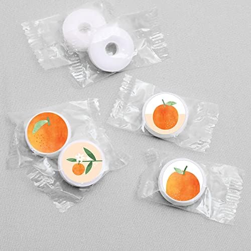 Little Clementine Orange Citrus Candy Sticker Favor Labels - 1 Sheet of 108