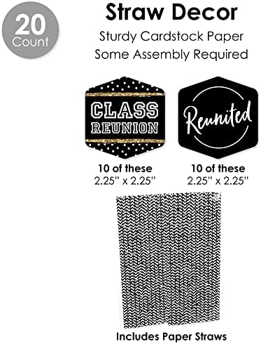 Big Dot of Happiness Reunited Party Kit - 100 Pieces