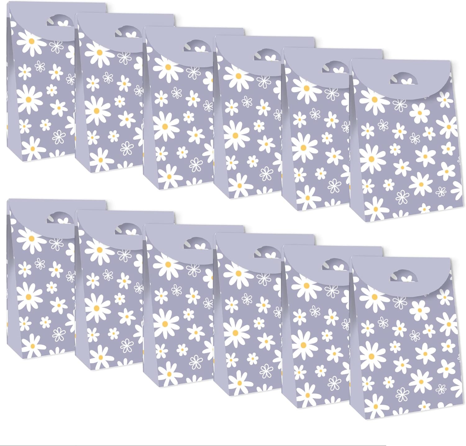 Purple Daisy Flowers Party Favor Bags Set of 12