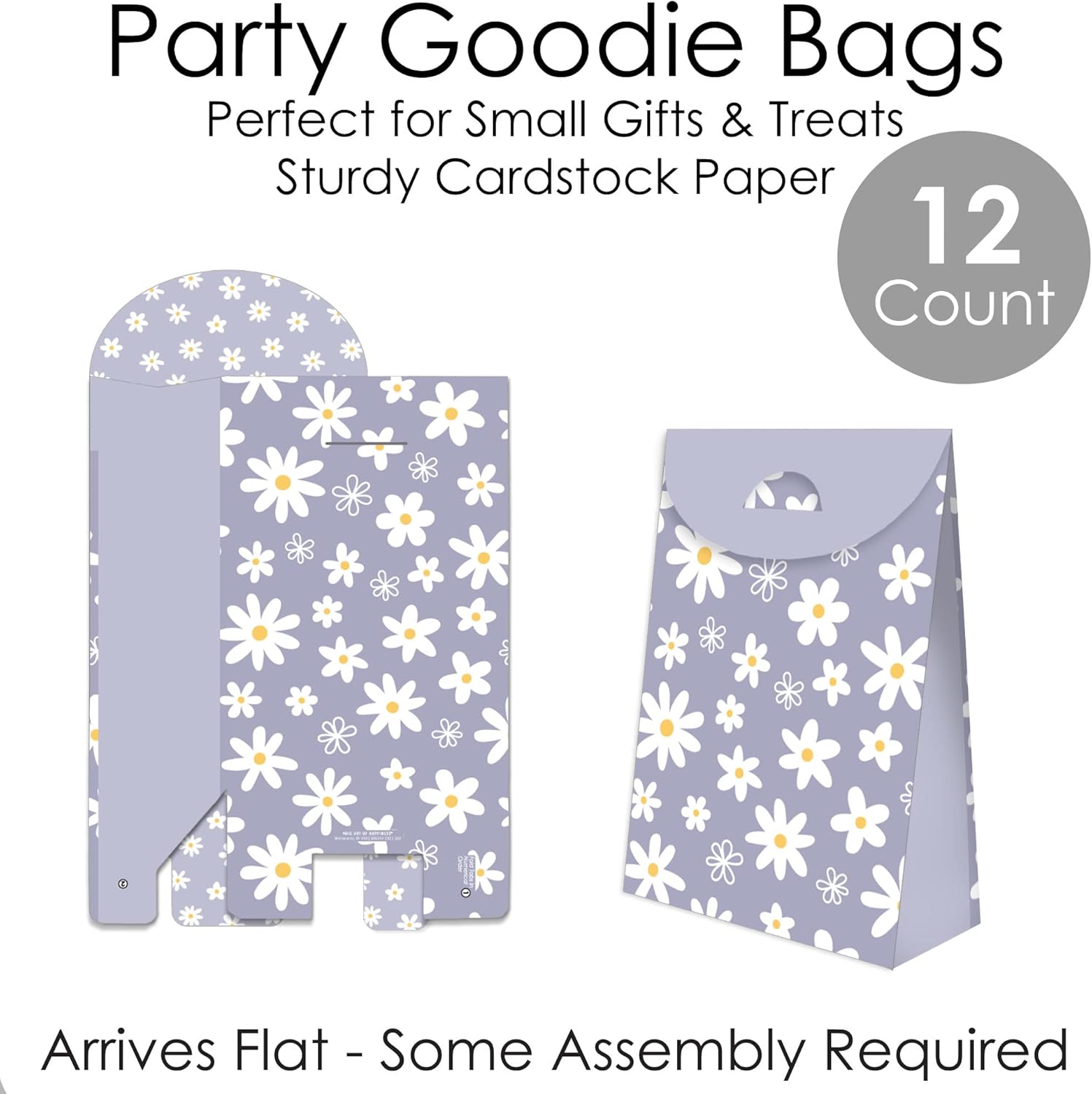 Purple Daisy Flowers Party Favor Bags Set of 12