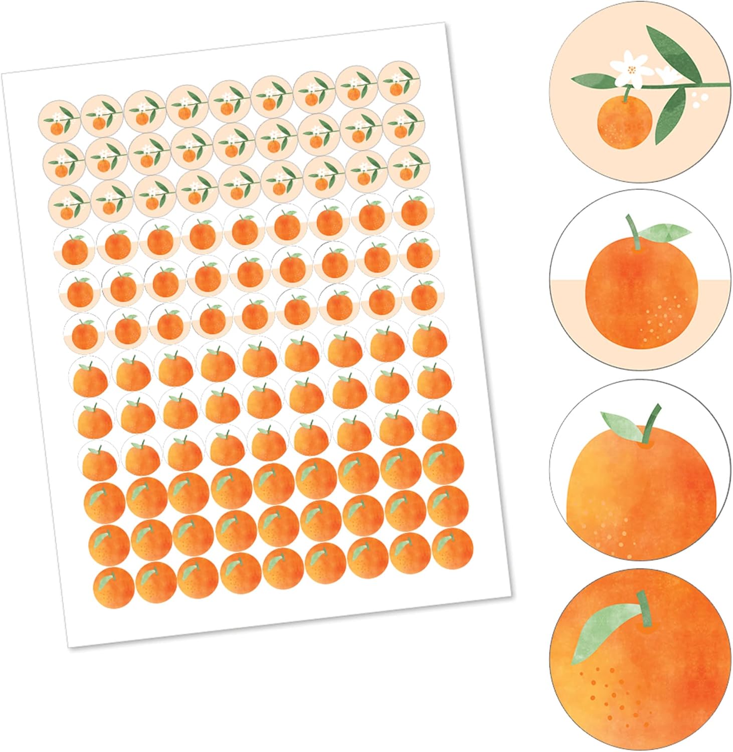 Little Clementine Orange Citrus Candy Sticker Favor Labels - 1 Sheet of 108